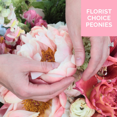 Florist Choice Peonies - Let the florist put together a lovely selection of seasonal flowers including peonies.