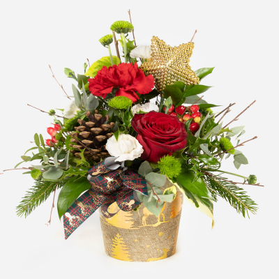 Starlight - Show your love this Christmas with this wonderful collection of wintry flowers arranged  in a co ordinating pot.
